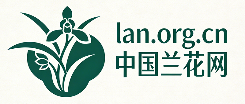 中国兰花网 ——(lan.org.cn) 专注服务兰花行业的综合服务平台，行业信息、交易、技术、文化与行业综合服务！